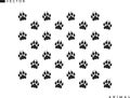 Lion paw prints background. Isolated paw prints